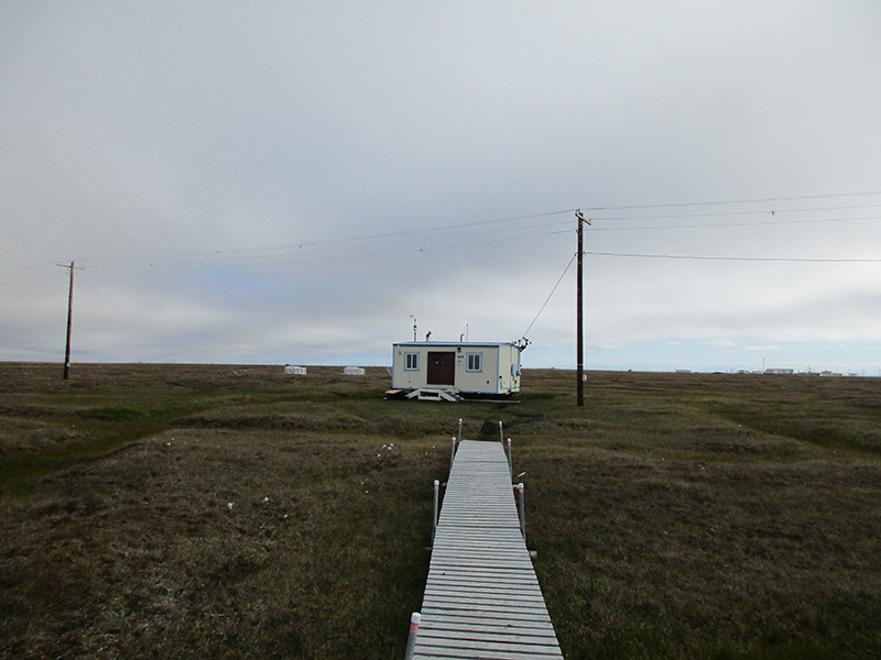As part of an ARM field campaign, researchers collected aerosols in August and September 2015 at this tundra site outside of Utqiaġvik, Alaska, near ARM’s North Slope of Alaska site. That work helped researchers uncover new information about the composition of aerosols found in the Arctic.